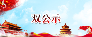 双公示