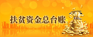 扶贫资金总台帐